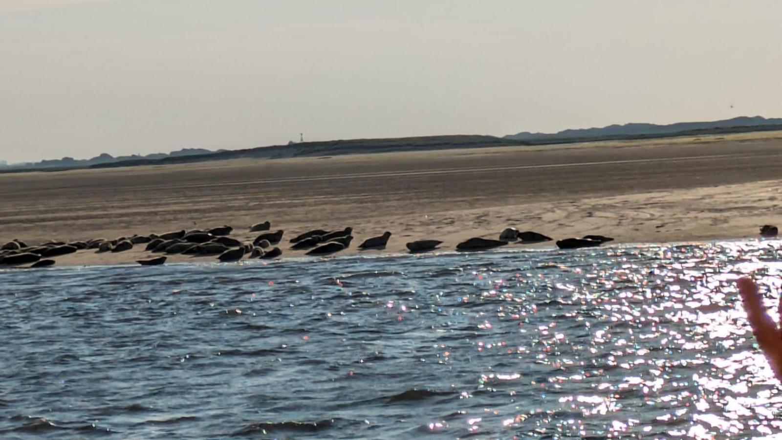 Drei-Insel-Blick Neßmersiel エクステリア 写真
