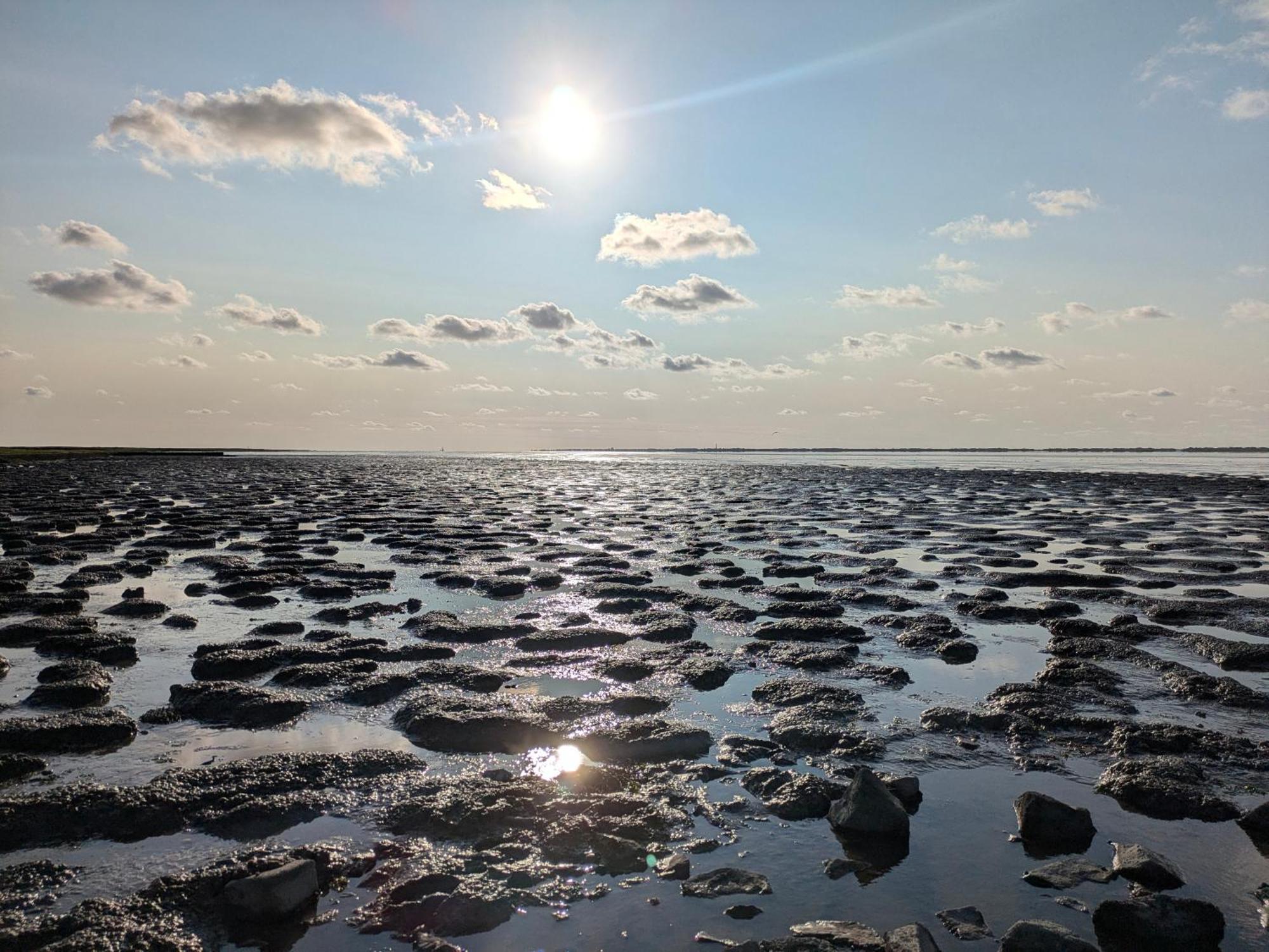 Drei-Insel-Blick Neßmersiel エクステリア 写真